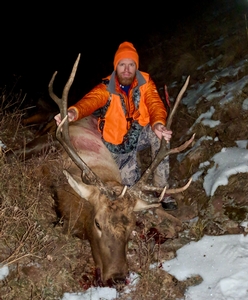 Great 5x5 bull from first rifle